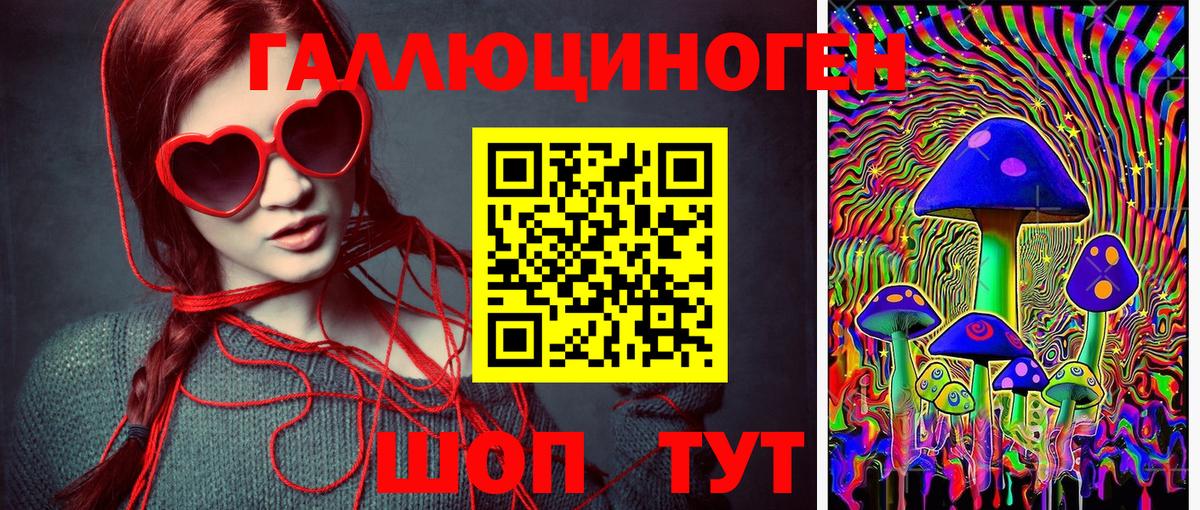 Псилоцибиновые грибы Psilocybe Зеленодольск