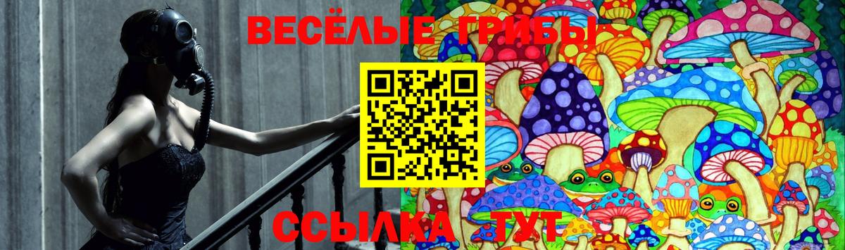 Зеленодольск  Галлюциногенные грибы мухоморы  Вход с VPN 